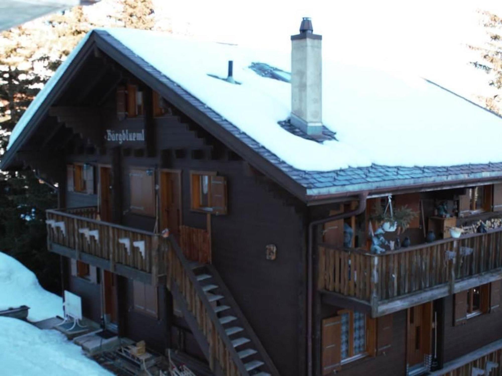 Apartment Baergblueemli - 1- Stock Ost By Interhome Bettmeralp Εξωτερικό φωτογραφία