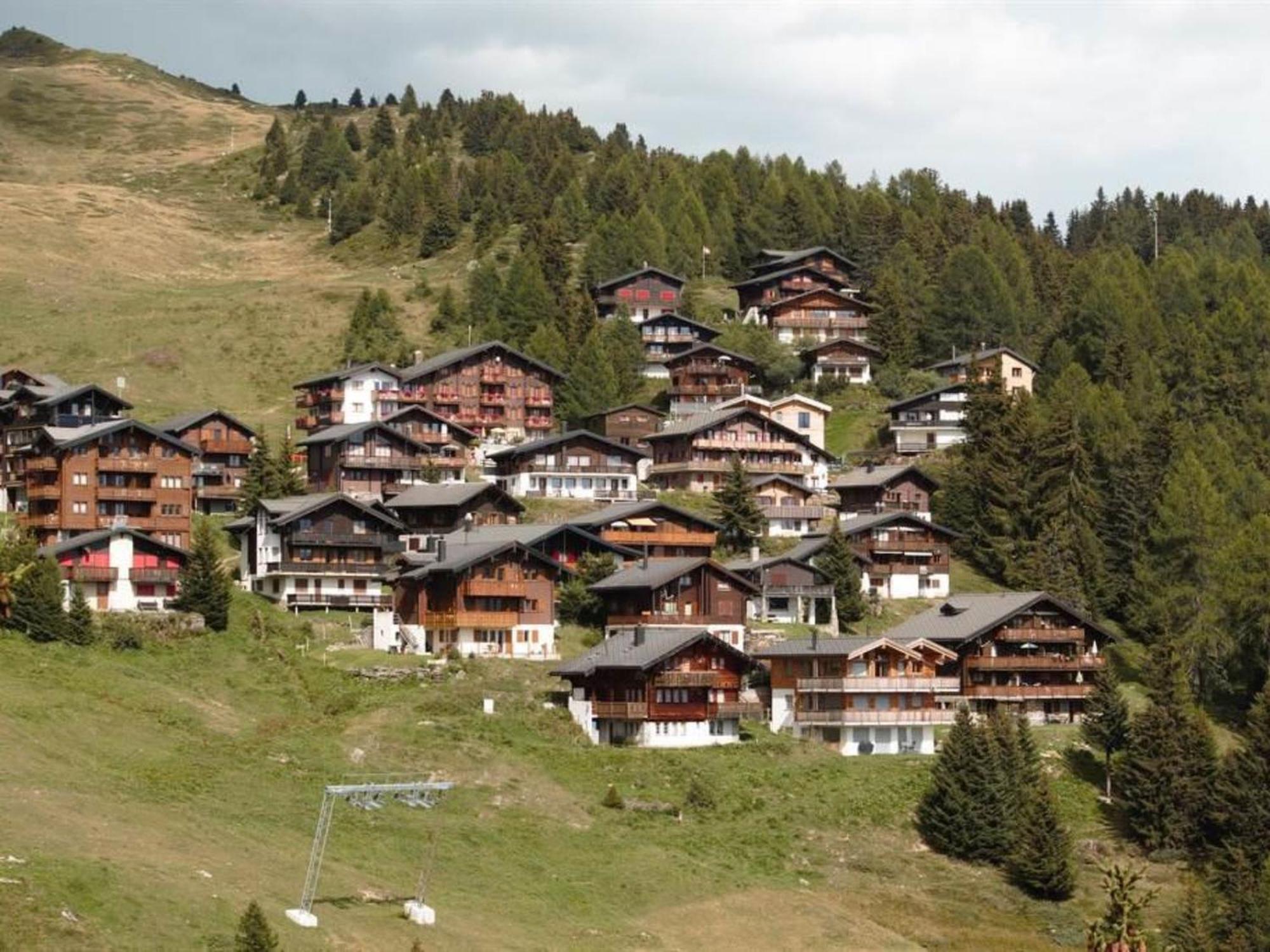 Apartment Baergblueemli - 1- Stock Ost By Interhome Bettmeralp Εξωτερικό φωτογραφία